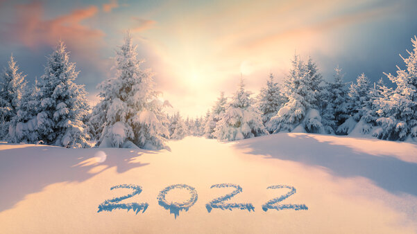 2022 on snow in winter forest